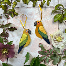Hanging parrots
