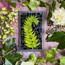 Fern mosaic