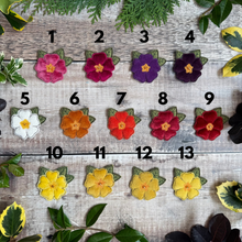 Primrose brooch