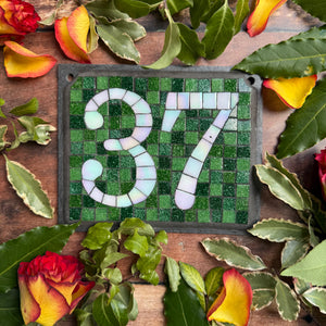 White iridescent number with a dark green background
