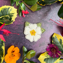 Primrose brooch