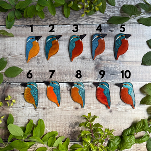 Fabric Kingfisher brooches