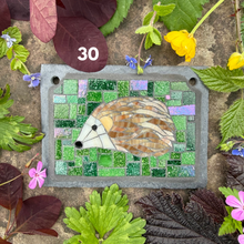 Mosaic minis