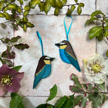 Hanging mixed birds - Cardinal, Bee Eater, Magpie, Blue Jay, Fairy Wren