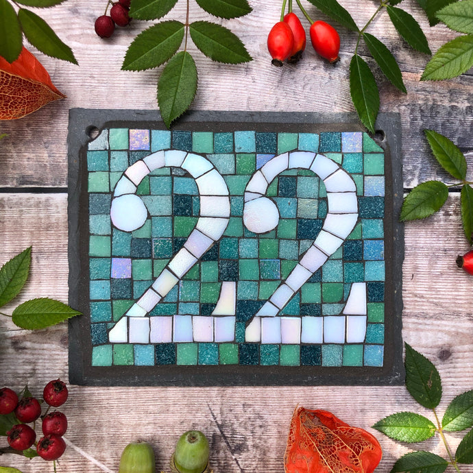 White iridescent number with a sea green background